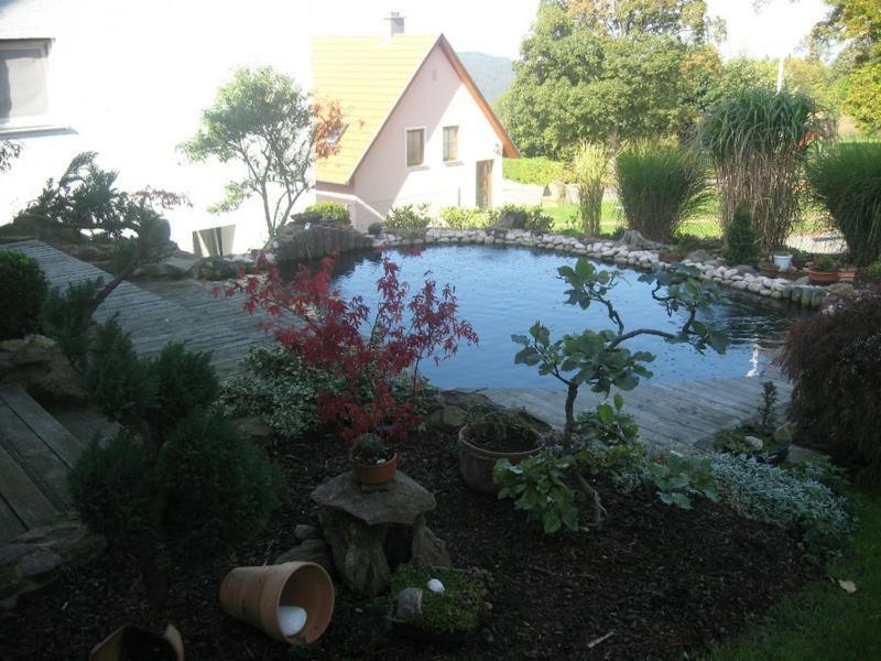 Ferienwohnung Schoenblick Waldmünchen Exterior foto